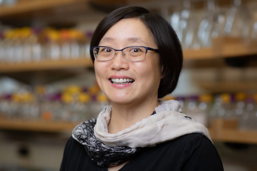 FSU chemist recognized for contributions to the analysis and design of functional materials