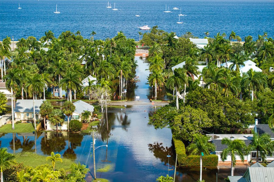 FSU study warns routine coastal flooding could become deadly for older adults