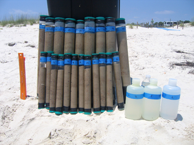 Sediment cores and water samples collected at St. George Island on June 8. These samples are not affected by oil and provide the reference data to compare with data generated in case oil affects this beach. (Photo courtesy of Markus Huettel)