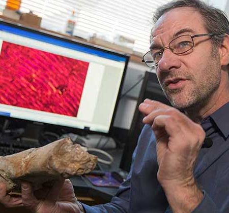 Professor of Biological Science Gregory Erickson