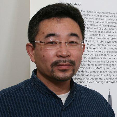 Yoichi Kato