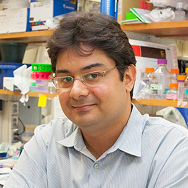 Jose Pinto, associate professor in the FSU College of Medicine's Department of Biomedical Sciences