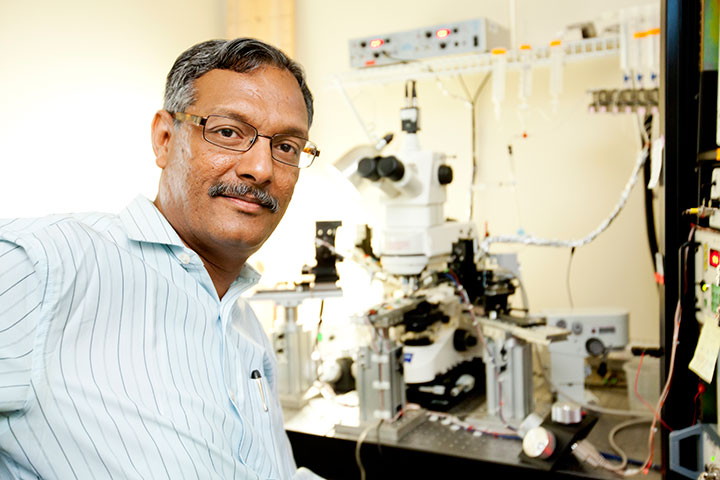 Sanjay Kumar, associate professor in the College of Medicine’s Department of Biomedical Sciences