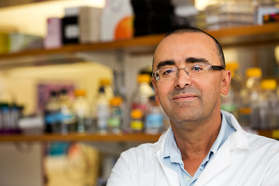 Professor Mohamed Kabbaj, a neuroscientist in the College of Medicine