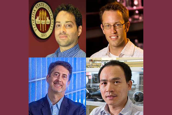 Researchers Yaacov Petscher, Scott Stagg, Joseph Schlenoff and Biwu Ma