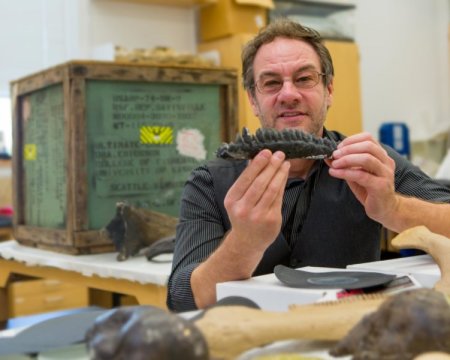 Gregory Erickson is a professor of biological science at Florida State University. In this photo, he is holding a mold of teeth from triceratops.