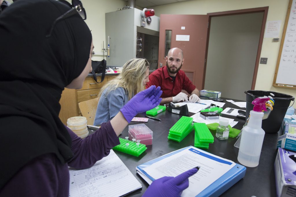 While similar courses throughout the nation have used CRISPR to edit the genes of easily manipulatable organisms like fruit flies, Dennis’ course is singular in its use of human cancer cells.