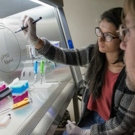 The work being done by FSU undergraduate biology students puts the university on the vanguard of international CRISPR education and research.