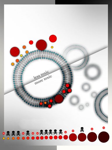 Size separated lipophilic silicon nanoparticles that fluoresce from red to infrared are encapsulated into liposomes and delivered to cells. Specific particles are found to encapsulate better into the liposomes and thus enhance cellular uptake and toxicity when delivered to cancer cells. (Credit: Chenxi Qian)