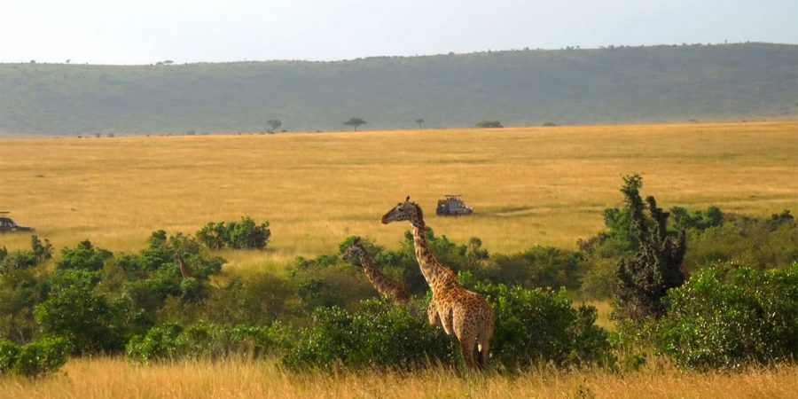 Fenton's tour of Kenya in fall 2016 showed him the power of music in tiny African villages, as well as in communities across the globe. "I have found that the sharing of musical experiences and traditions provides a unique human connection that is lasting and provides deeper understanding across cultures.”