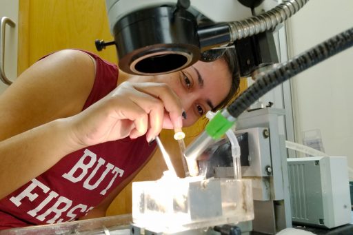 Diana Flores recently earned a doctorate in biomathematics from Florida State.