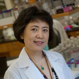 Yi Ren is a professor of biomedical sciences at the Florida State University College of Medicine.