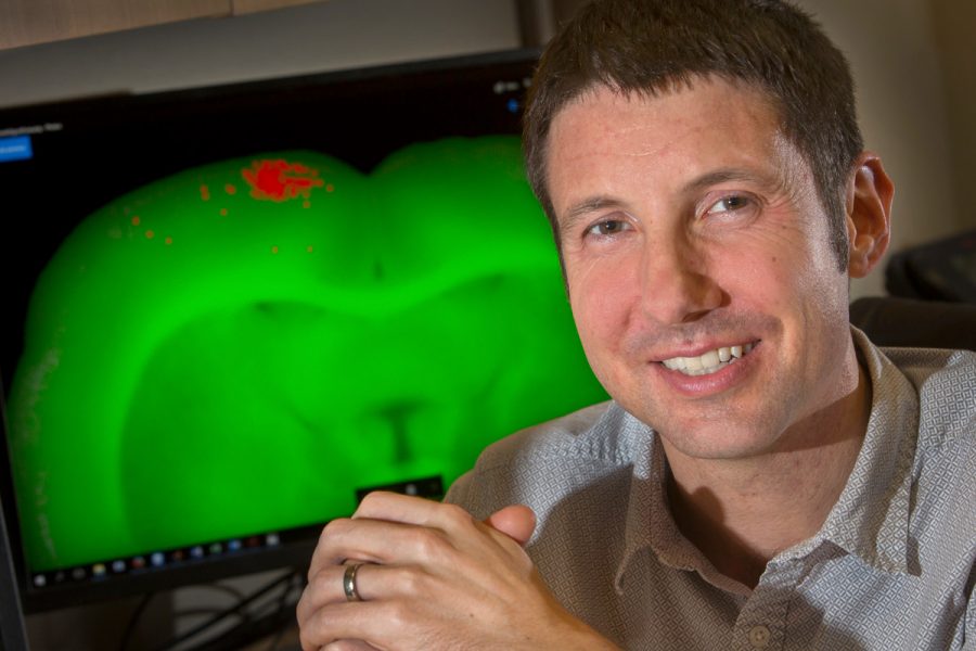 Assistant Professor Aaron Wilber has discovered new insights into how the brain is organized to help a person navigate.