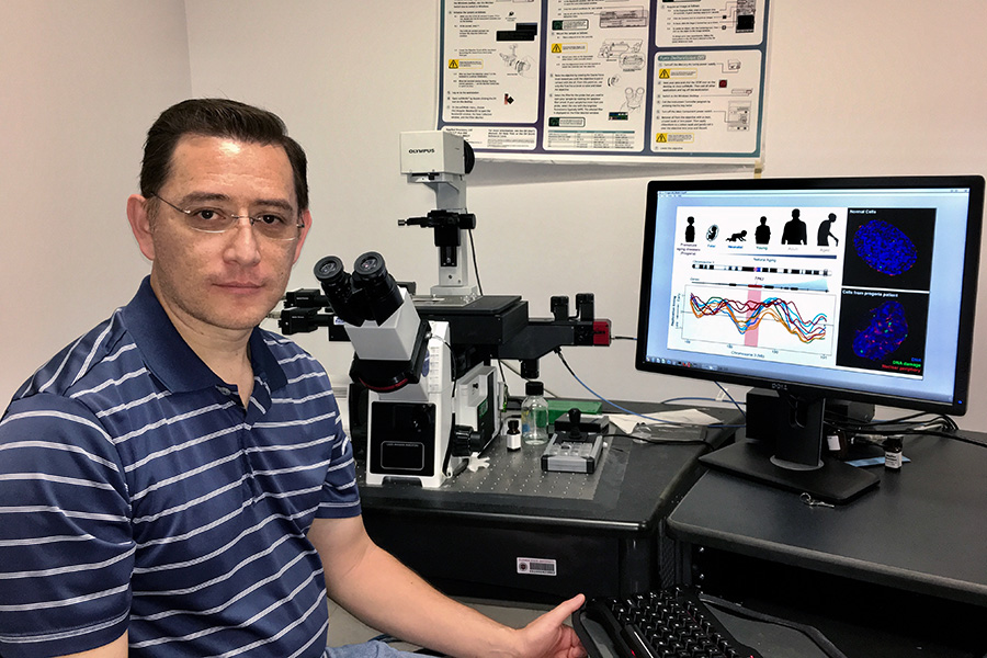 FSU postdoctoral researcher Juan Carlos Rivera-Mulia used an advanced approach to disease marker discovery developed at Florida State to conduct breakthrough research on premature aging diseases called “progeroid syndromes.”