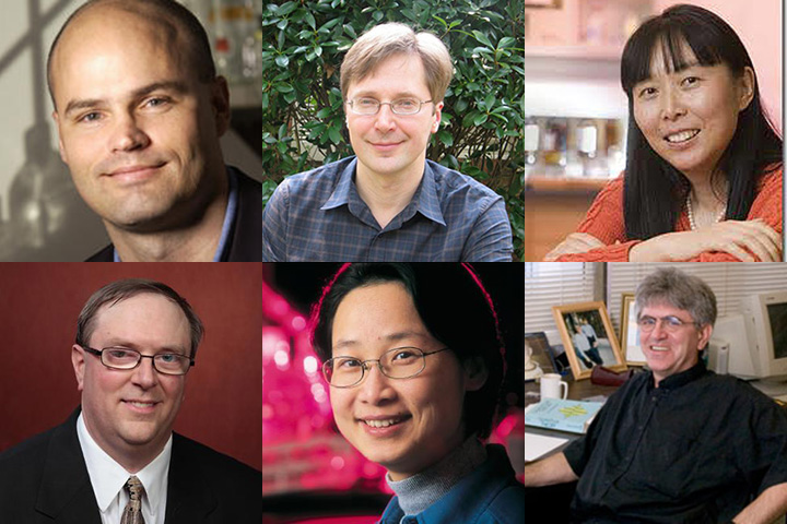 Thomas Joiner, Igor Alabugin, Qing-Xiang “Amy” Sang, Todd Adams, Hong Li and Efstratios Manousakis are FSU's newest AAAS fellows.