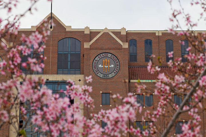 Pink Brand University of Florida