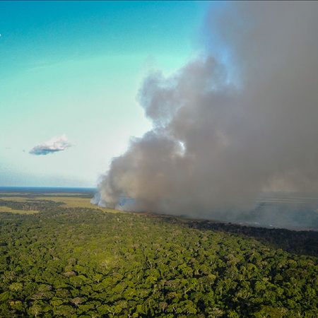 Researchers found that nitrogen from large-scale fires is being swept up into the atmosphere and deposited on the forests of the Congo Basin.