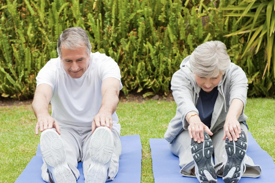 FSU researchers: Regular stretching could improve muscles in elderly -  Florida State University News