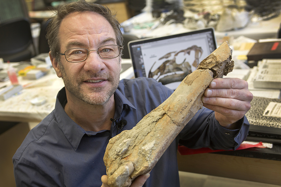 Professor of Biological Science Gregory Erickson