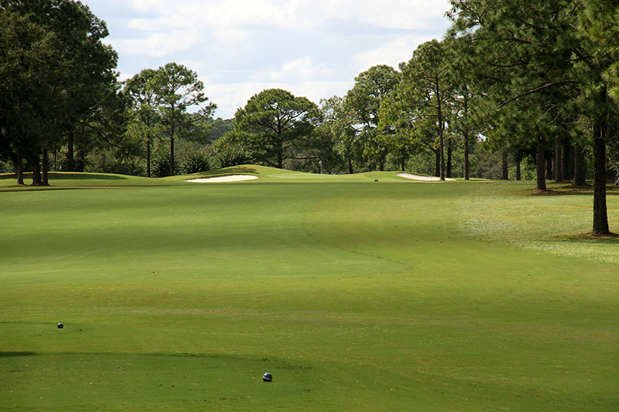 Don Veller Seminole Golf Course