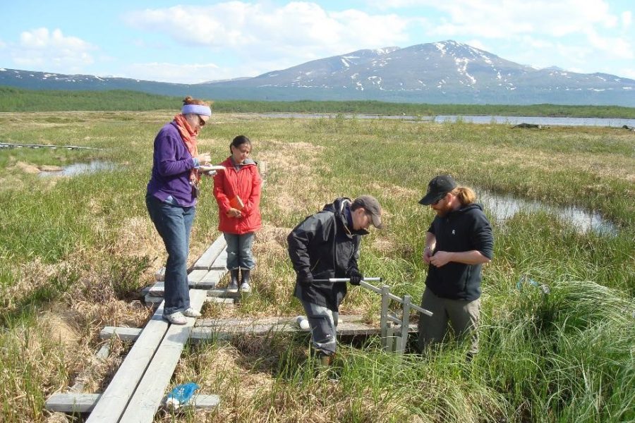 Researchers bored deep into the Earth to measure peat composition at various depths.