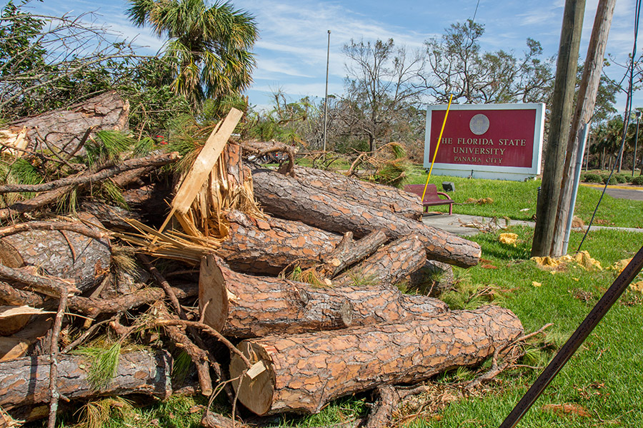 The FSU Panama City suffered significant damage, but swift action by the administration will allow the campus to reopen Oct. 29. (Bill Lax/FSU Photography Services)