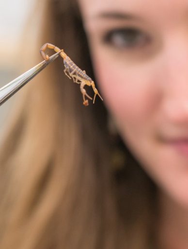 Ward and her team documented over 100 scorpion species, the effects of their venom and their native locations.