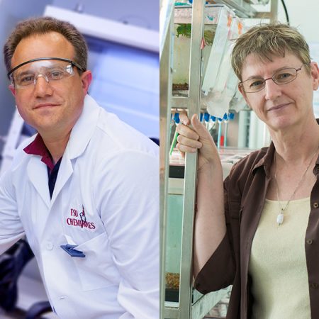 Professor of Chemistry Thomas Albrecht-Schmitt and Professor of Biological Science Kimberly Hughes