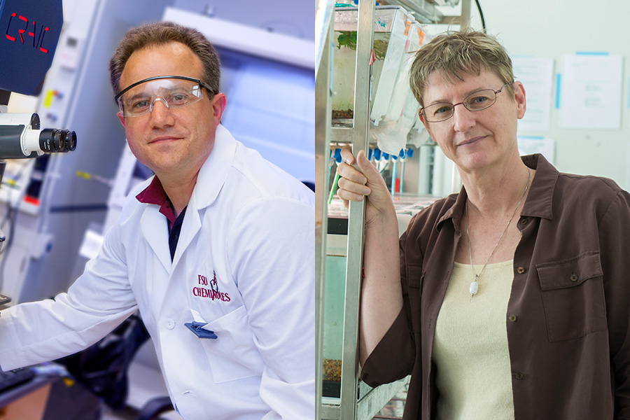 Professor of Chemistry Thomas Albrecht-Schmitt and Professor of Biological Science Kimberly Hughes