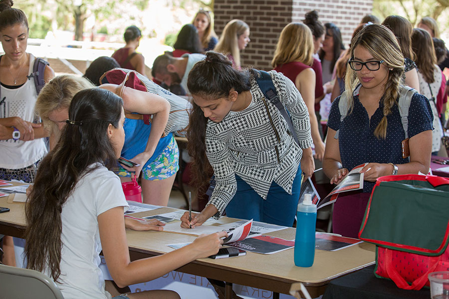 Florida State Graduate School applications and enrollment reach