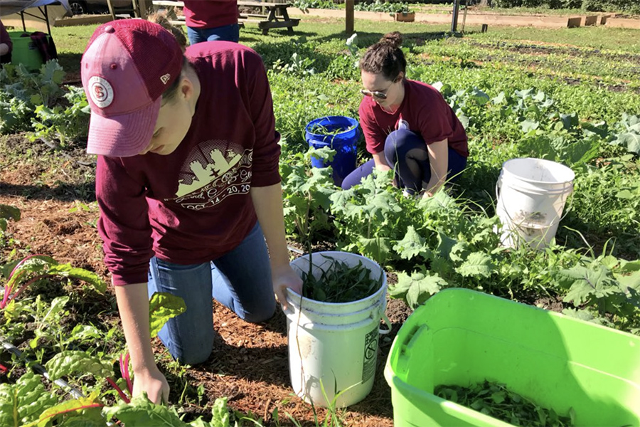 Notable nonprofits iGrow Urban Farm and Frenchtown community garden set up service sites to foster local youth development and provide fresh produce for an area considered to be a food desert.