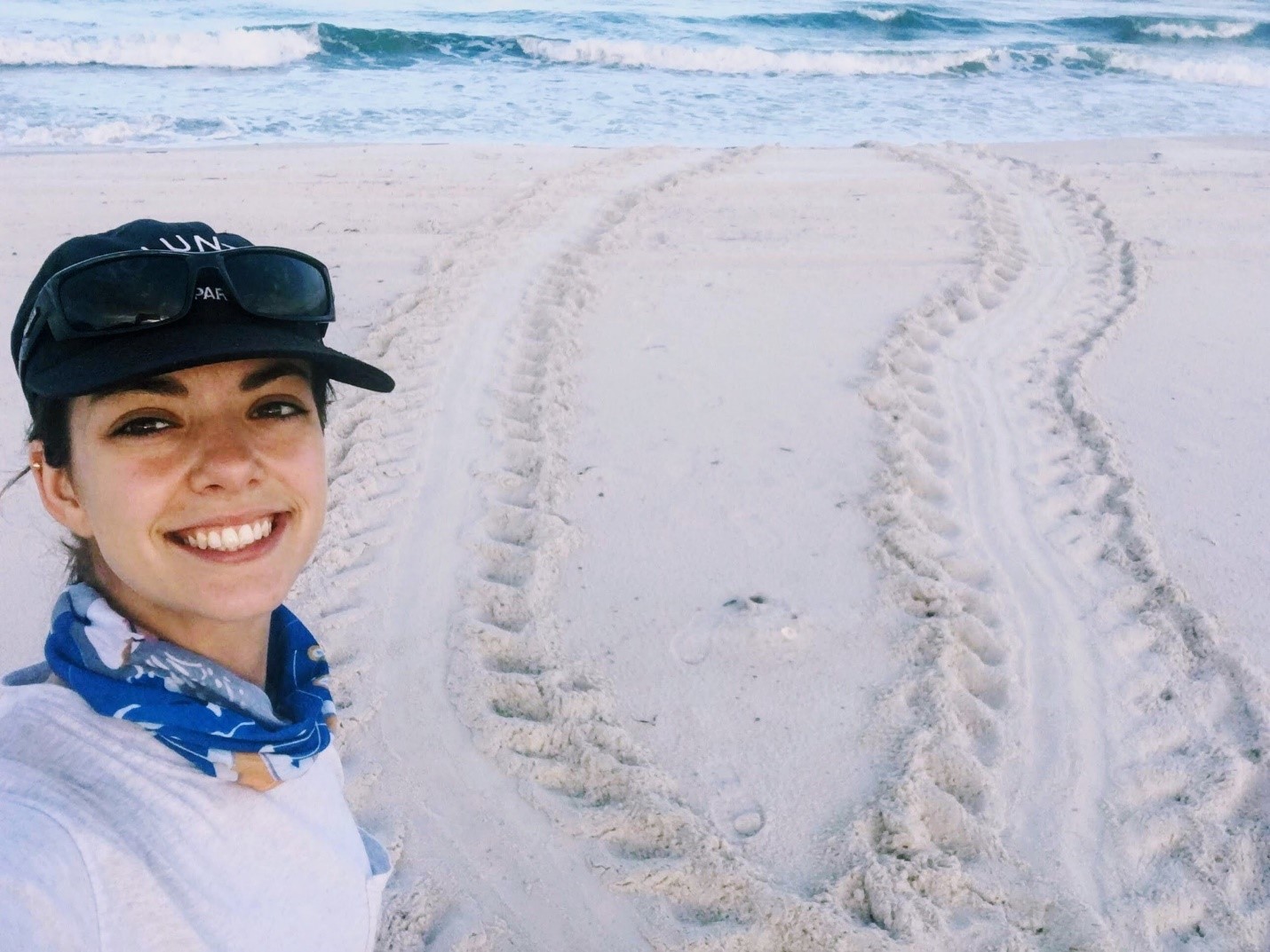 Natalie Montero, the study's lead author, found that changing climate conditions could reduce hawksbill hatching success by up to 11% at a selection of major nesting beaches.