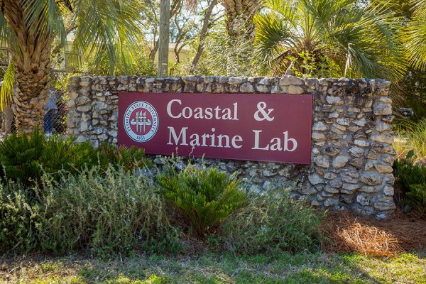 The mission of the Marine Lab is to conduct innovative, pioneering, interdisciplinary research on coastal and marine ecosystems.