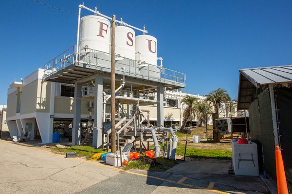 The lab is ideally situated to explore the unique combination of factors that have led to the oyster fishery collapse in Apalachicola Bay.