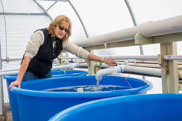 Researcher Sandra Brooke will be the scientific director of ABSI and lead the research into what caused the collapse of the oyster fishery and how to move forward.