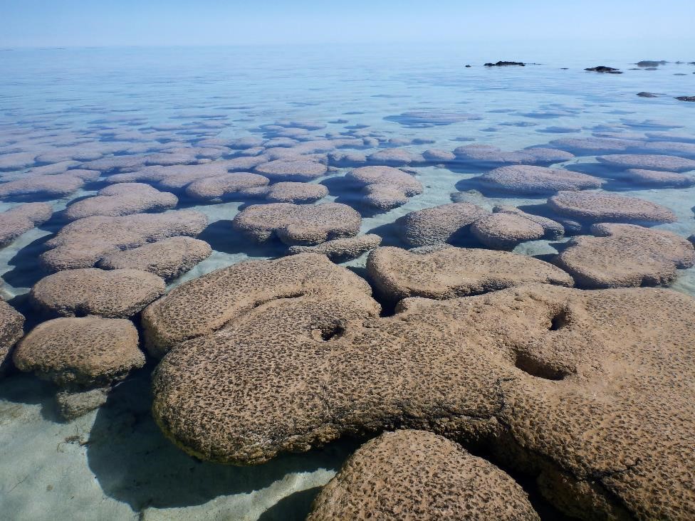 ancient-rocks-provide-clues-about-earth-s-early-history-florida-state