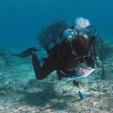 Study author and Florida State Assistant Professor Andrew Rassweiler evaluating fish abundances on the reef. (Credit: Sarah Lester)