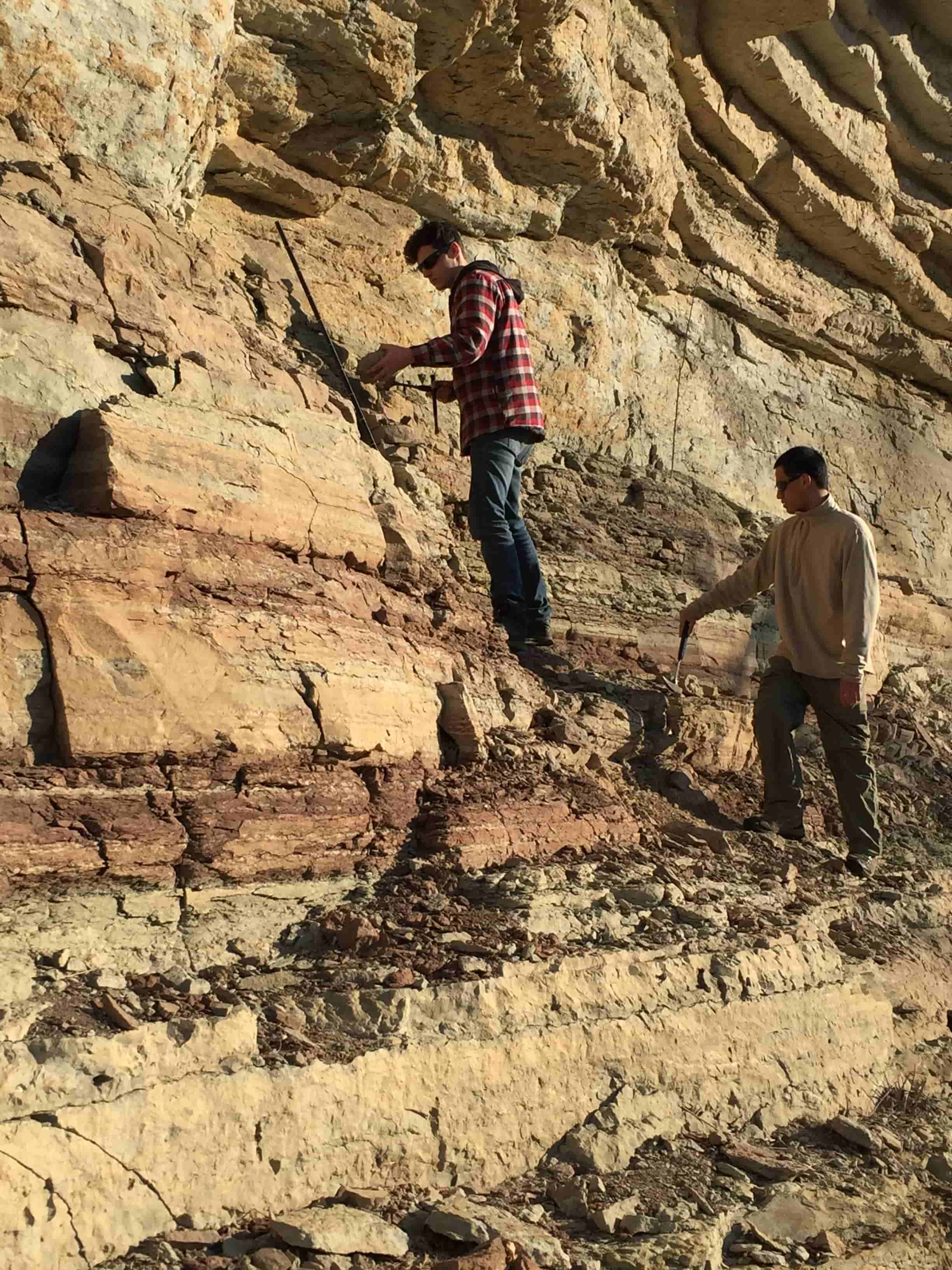 Young's team collecting samples from a site of ancient oceans west of Nashville, Tennessee. Former FSU master's student Andrew Kleinberg is pictured in the plaid shirt.