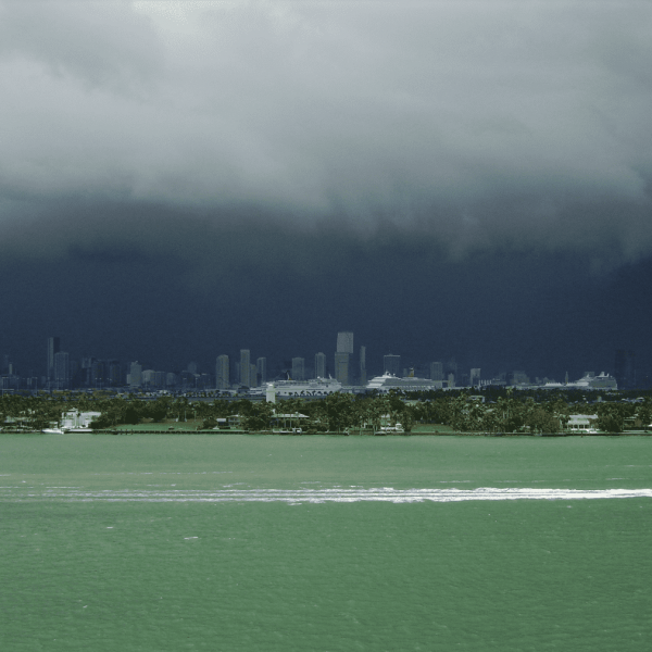 FSU researchers and collaborators from throughout the state will develop new products that help regional utilities account for climate variation when making important decisions about resource allocation. (Credit: Mark Averette)