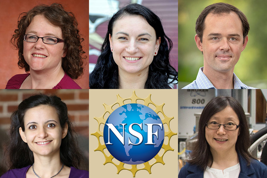 FSU's 2019 National Science Foundation CAREER awards winners. Top row: Christianne Beekman, Sonia Haiduc, Christopher Holmes. Bottom row: Lama Jaber and Yan Yan Hu.