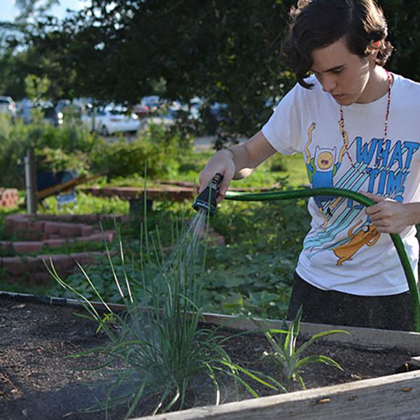 Florida State University has received a Gold rating from the Association for the Advancement of Sustainability in Higher Education (AASHE). (FSU Sustainable Campus)