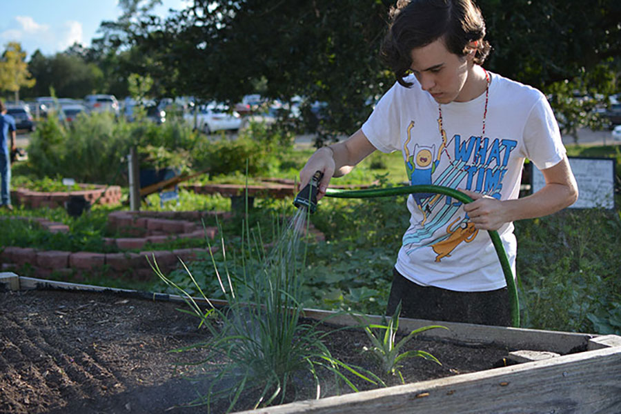 Florida State University has received a Gold rating from the Association for the Advancement of Sustainability in Higher Education (AASHE). (FSU Sustainable Campus)