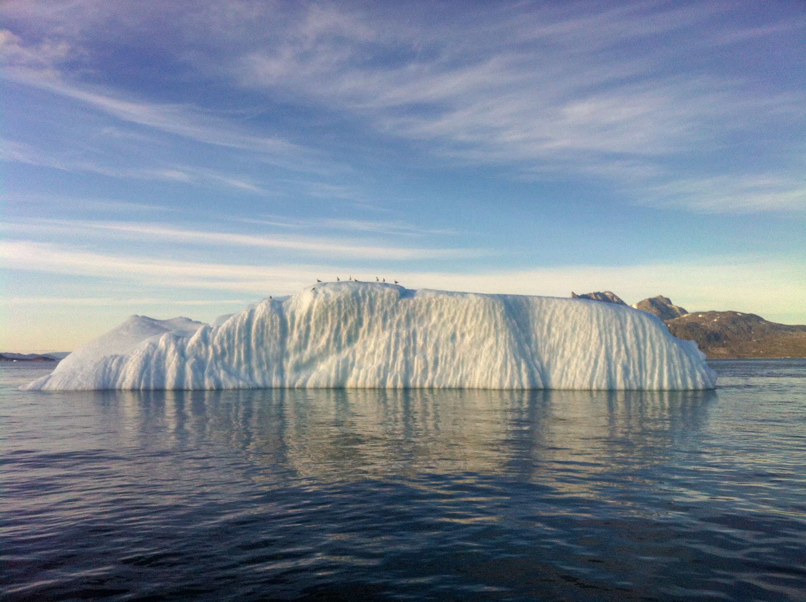 In addition to their important role as carbon sinks, scientists showed that icebergs can be crucial players in the preservation of marine productivity.