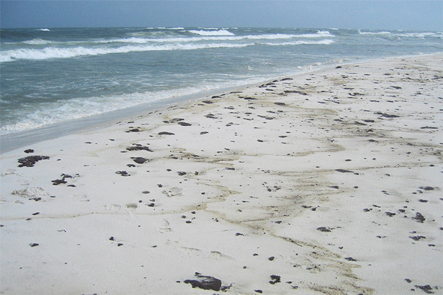 Deepwater Horizon oil buried in Gulf Coast beaches could take more than ...