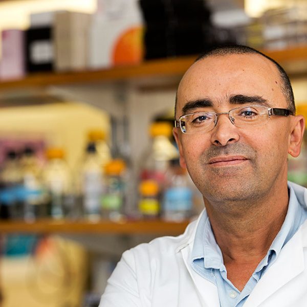 Professor Mohamed Kabbaj, a neuroscientist in the Department of Biomedical Sciences in the College of Medicine