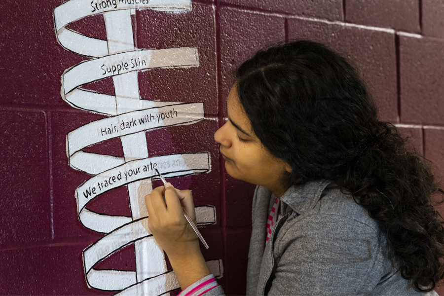 Melissa Gonzalez-Lopez works on her mural in the anatomy lab. It includes a poem that thanks the families of people who donated their bodies for medical instruction. Photo by Colin Hackley / FSU College of Medicine