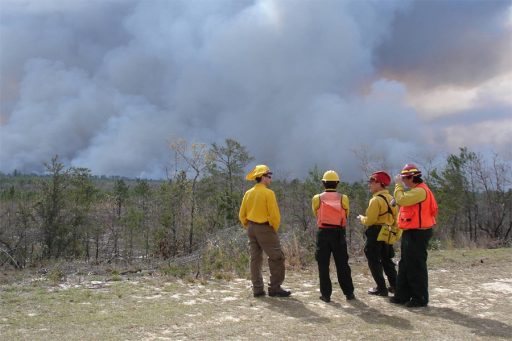 Researchers watch a prescribed fire that was conducted as part of a 2008 experiment at Eglin Air Force Base in northwest Florida. This latest project will continue research on prescribed fire to improve the understanding of smoke plume dynamics. Photo courtesy of Kevin Hiers / Tall Timbers Research Station & Land Conservancy.