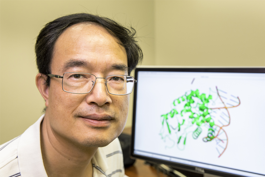 Professor Zucai Suo of the FSU College of Medicine. His research has established the mechanism responsible for how two widely used antiviral drugs inhibit viruses, which could create more treatment options for patients with HIV or hepatitis B.