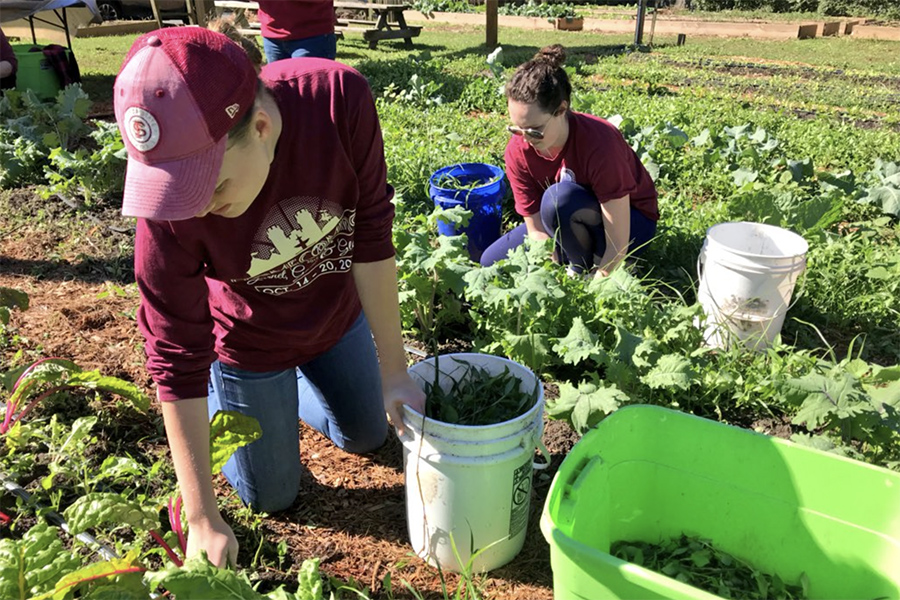 Florida State has almost doubled the number of students and hours of service reported in 2010.