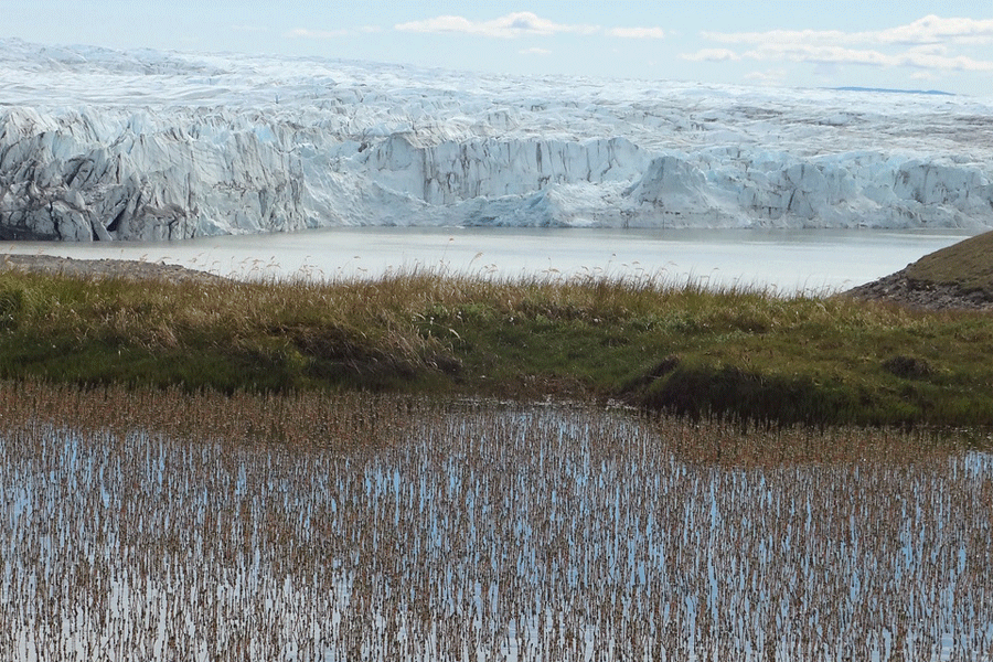 The landscape in front of the Greenland ice sheet. Photo by: Kelly Duerling / University of Florida